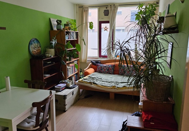 Wittevrouwensingel 76 -app. 9, Utrecht